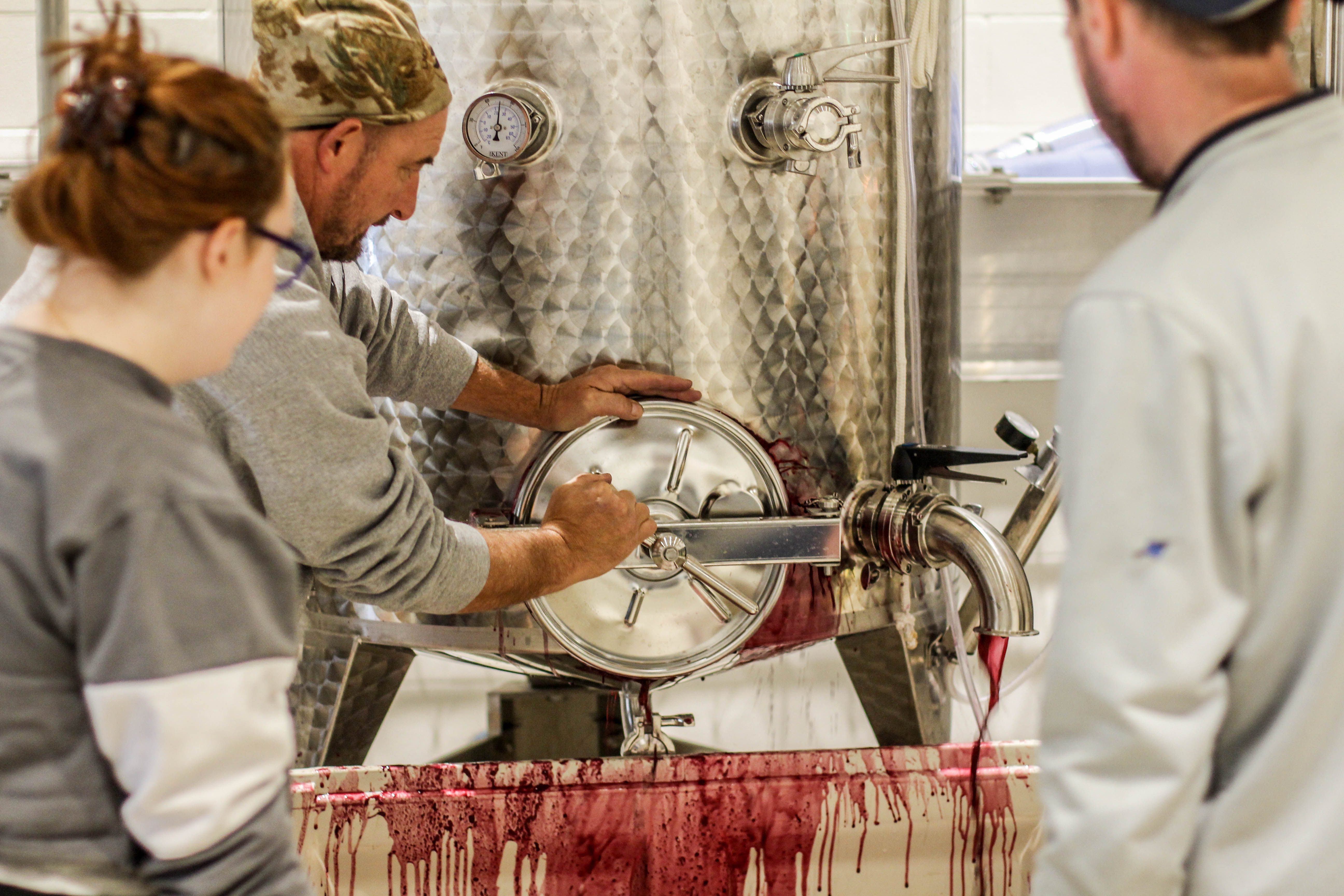 A group of people grinding up grapes into juice.